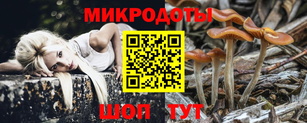 Псилоцибиновые грибы GOLDEN TEACHER Воткинск