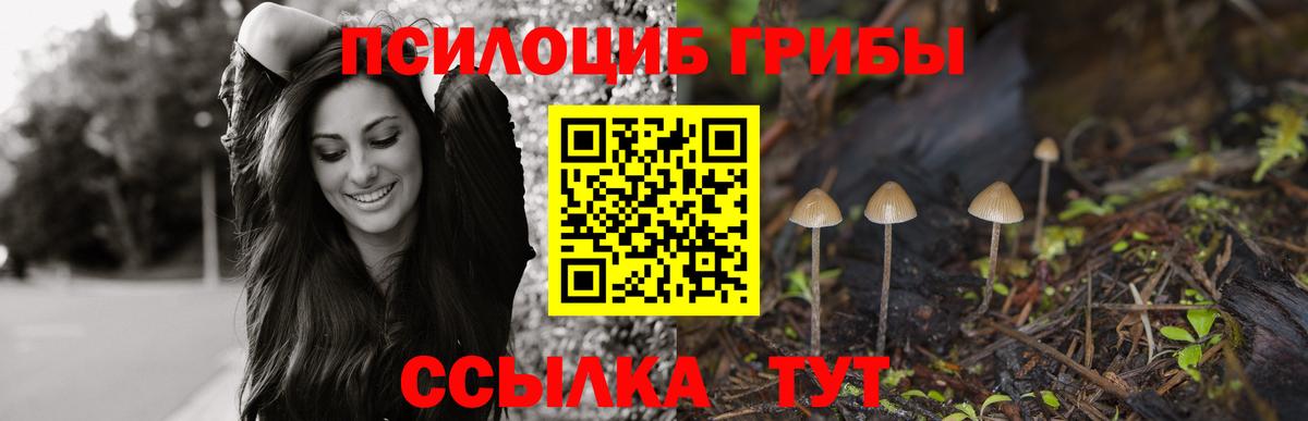 Псилоцибиновые грибы Psilocybe  Вход с VPN  Воткинск  Галлюциногенные грибы MAGIC MUSHROOMS 